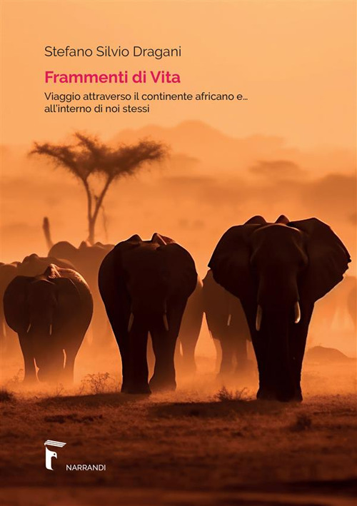 Frammenti di vita. Viaggio attraverso il continente africano e... all'interno di noi stessi