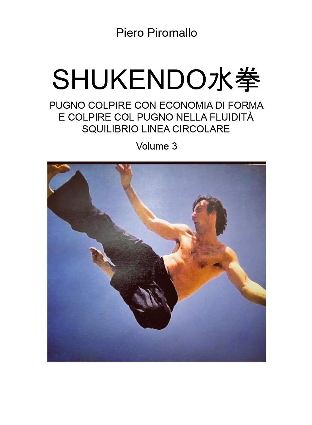 Shukendo. Pugno colpire con economia di forma e colpire col pugno nella fluidità squilibrio linea circolare. Vol. 3