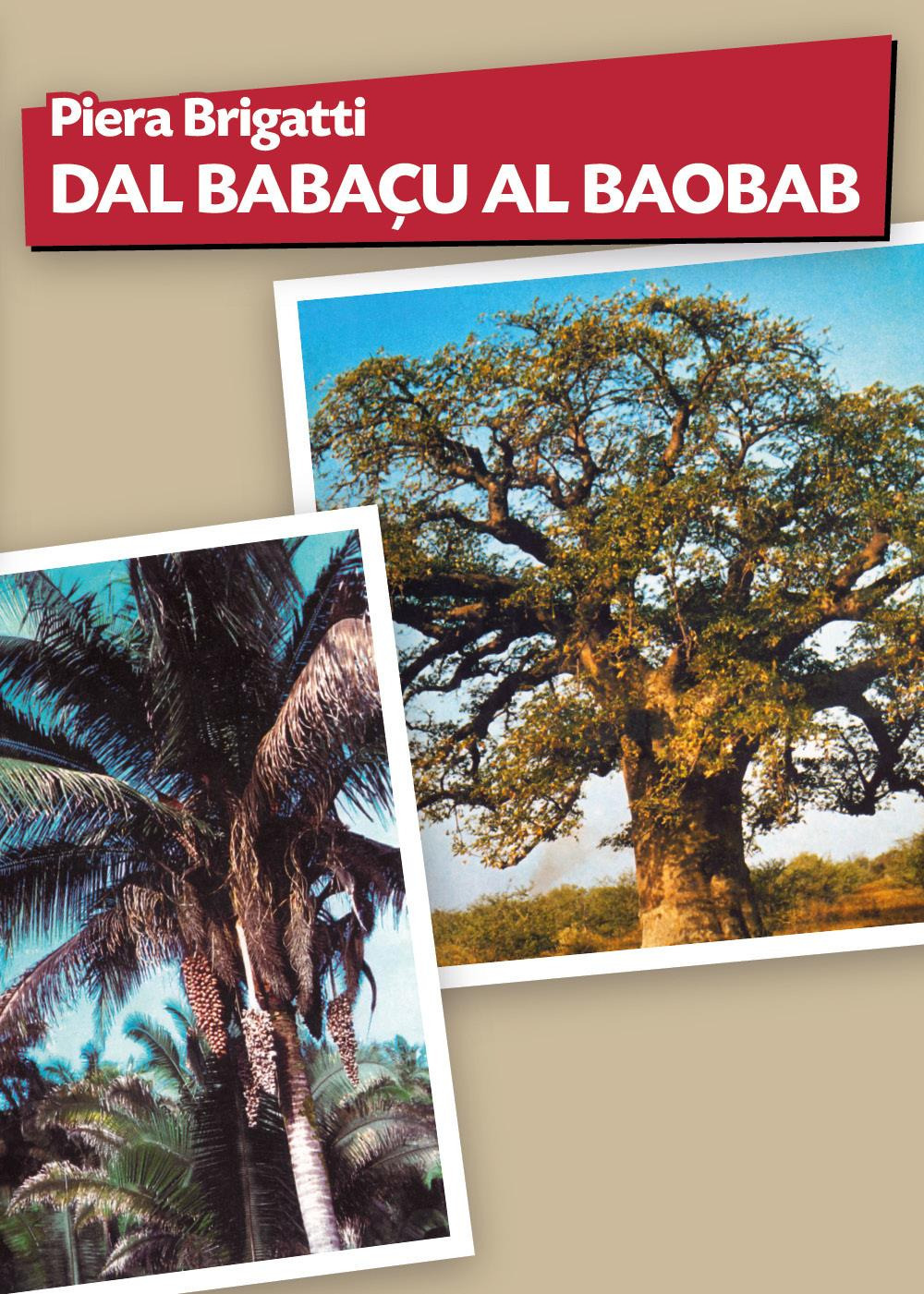 Dal babaçu al baobab