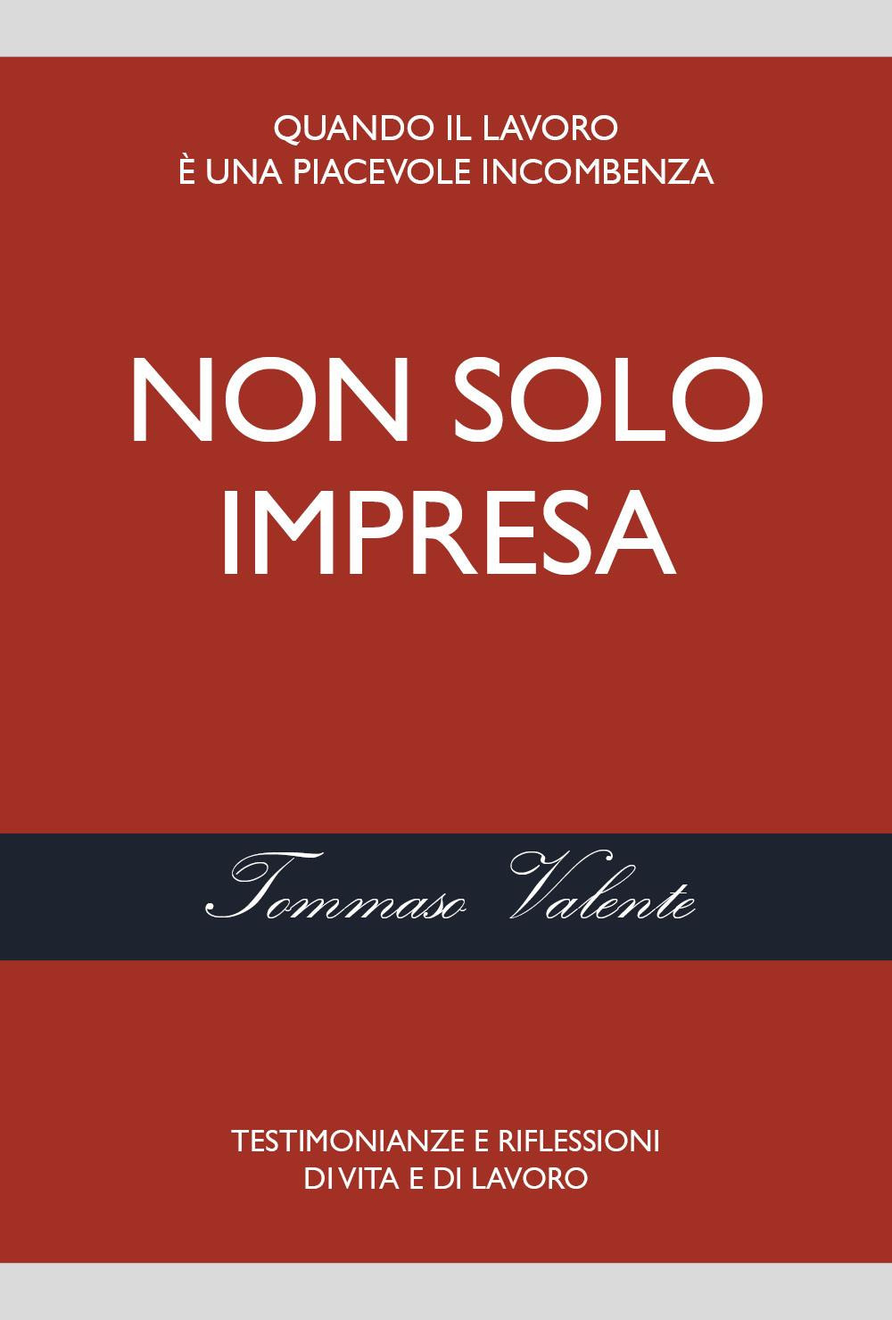 Non solo impresa. Testimonianze e riflessioni di vita e di lavoro