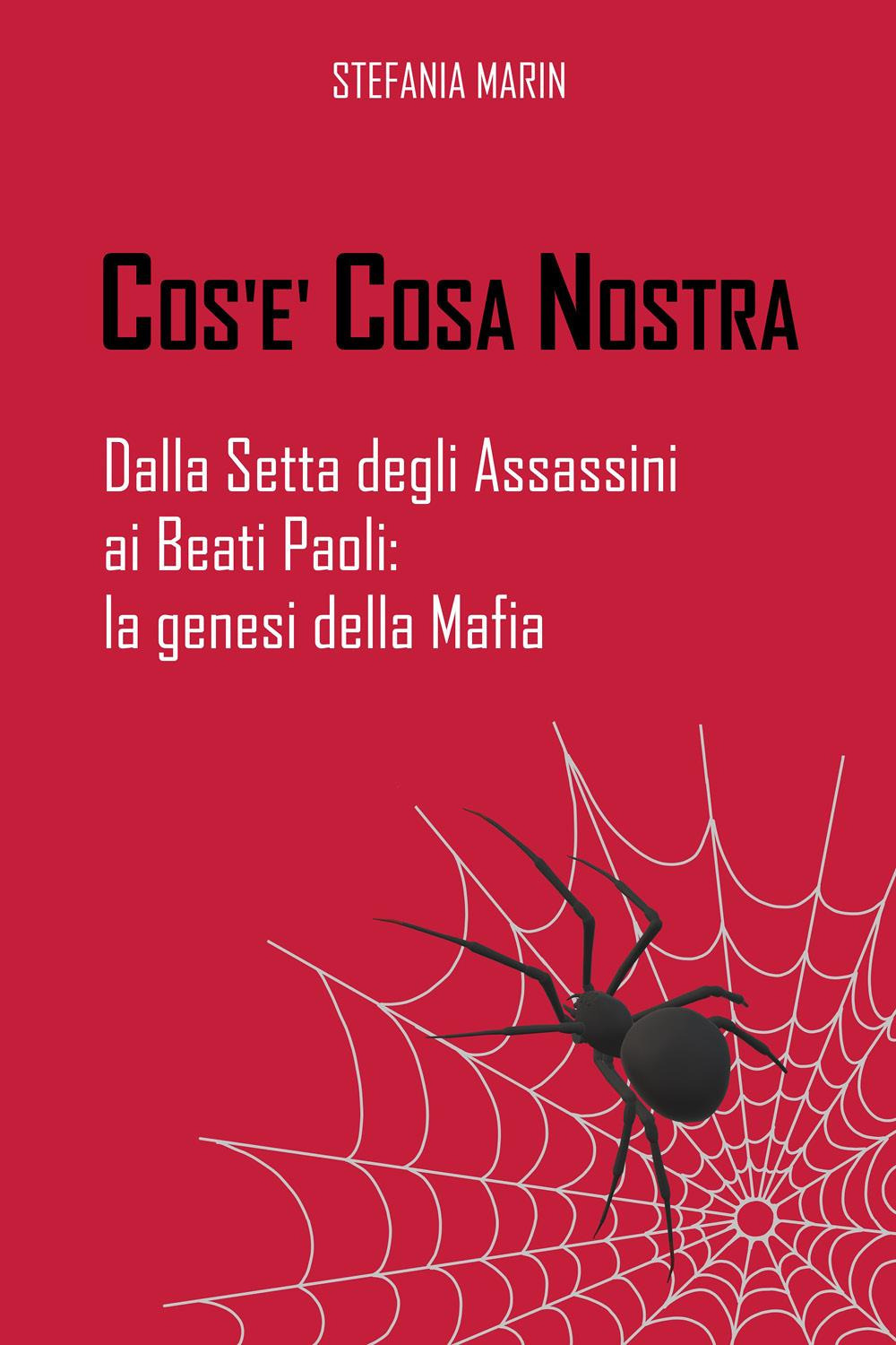 Cos'è Cosa Nostra. Dalla setta degli assassini ai beati paoli: la genesi della mafia