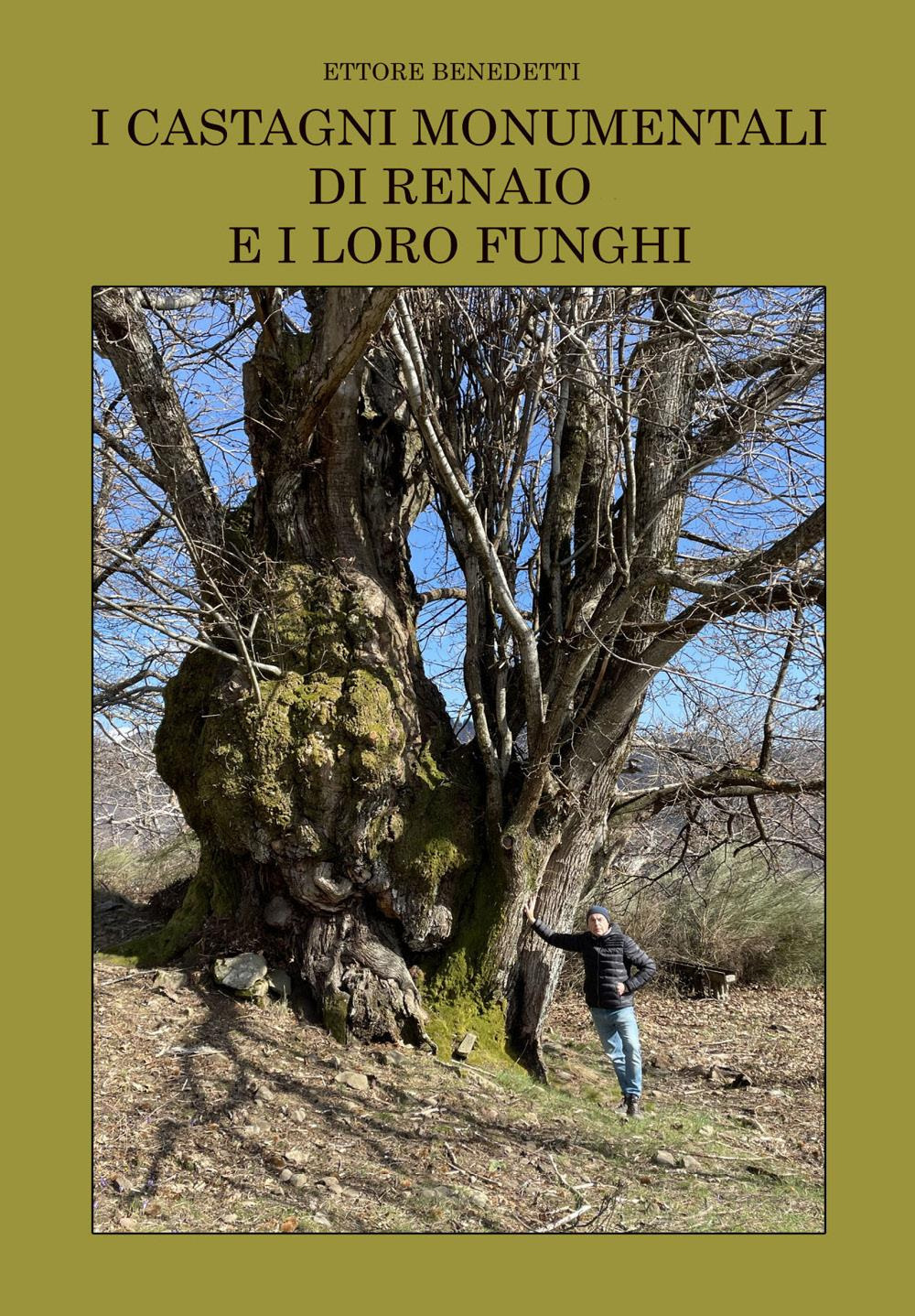 I castagni monumentali di Renaio e i loro funghi