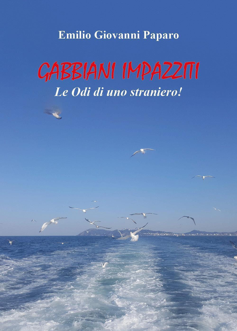 Gabbiani impazziti. Le odi di uno straniero!