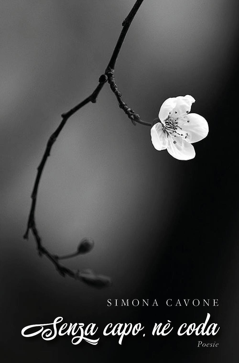 Senza capo, nè coda