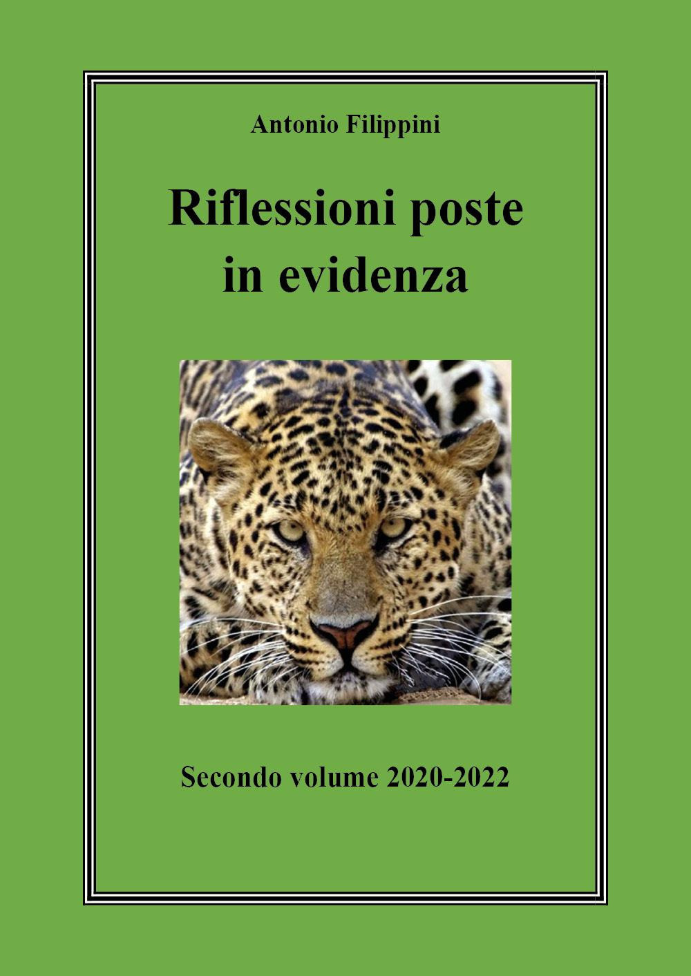 Riflessioni poste in evidenza. Vol. 2: 2020-2022