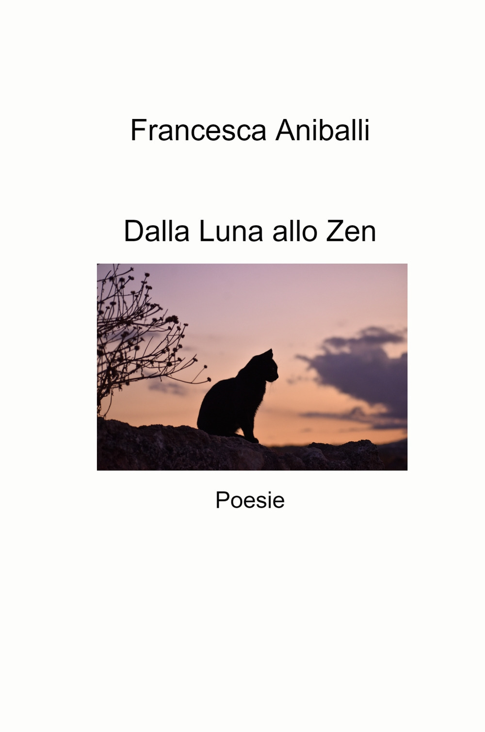 Dalla luna allo zen