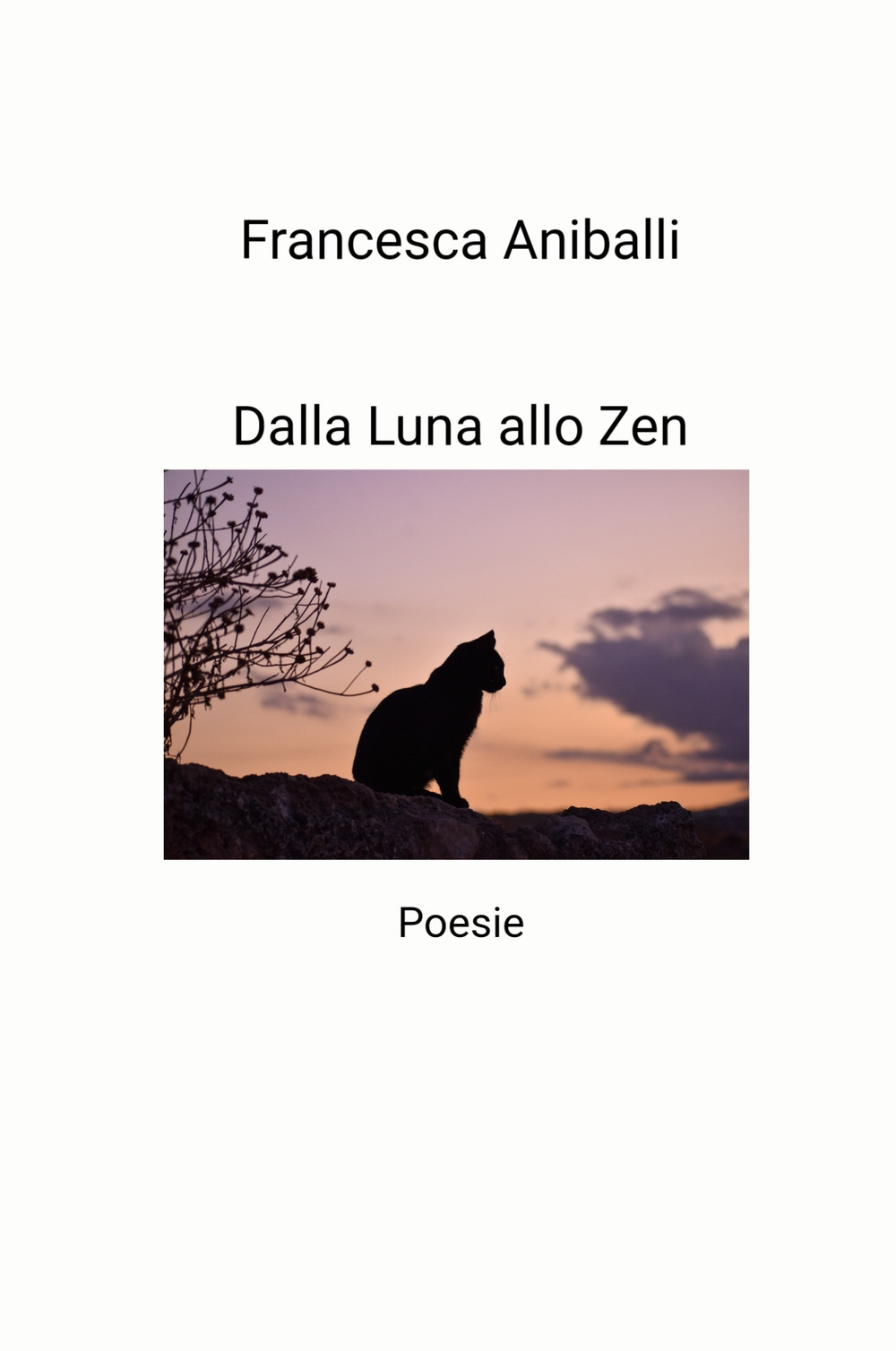 Dalla luna allo zen