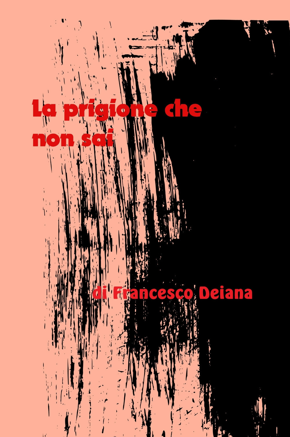 La prigione che non sai. Racconto di un ragazzo affetto da una malattia mentale. Analisi dei pregiudizi e dei muri che incontrera nel suo cammino