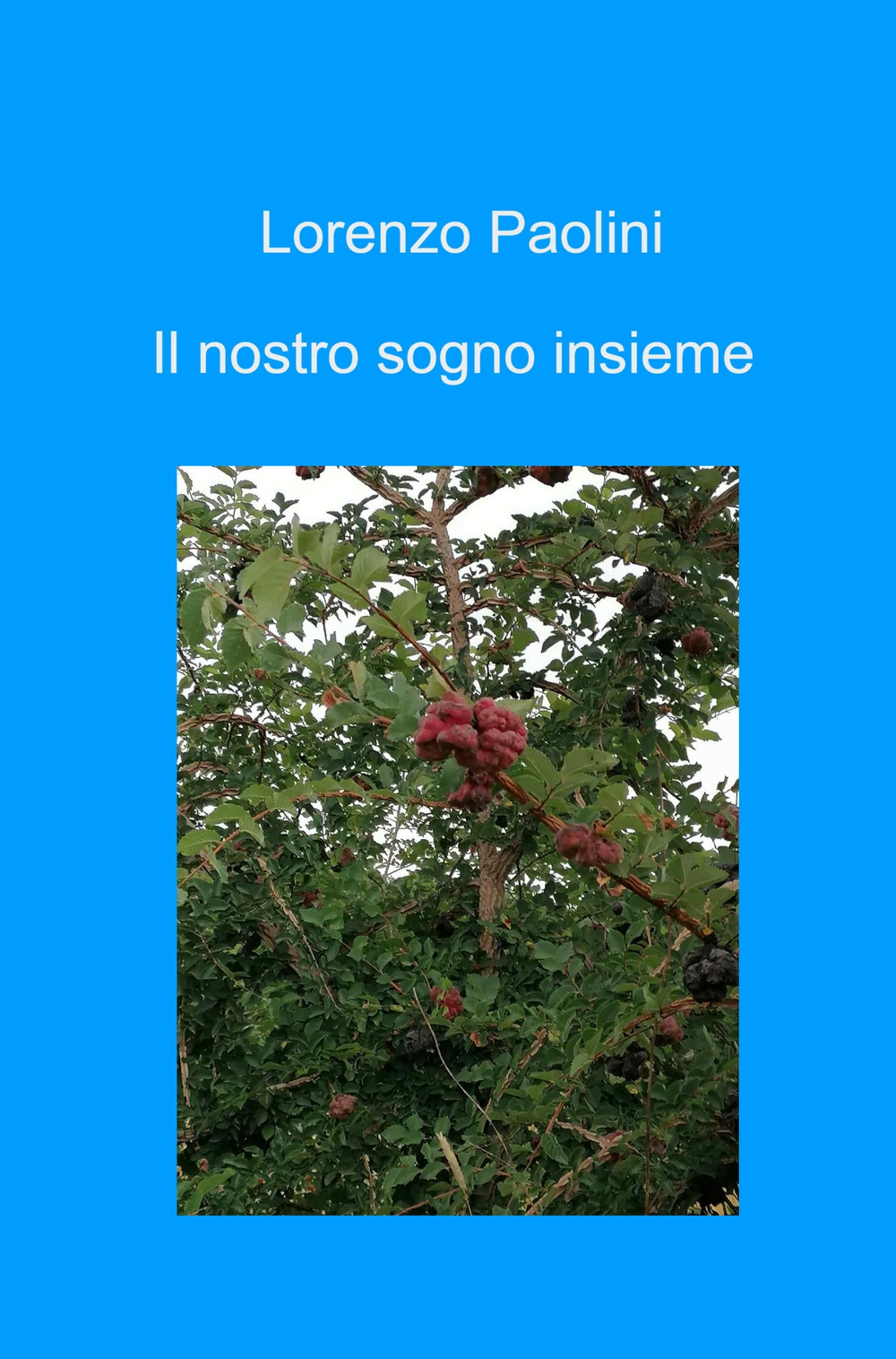 Il nostro sogno insieme