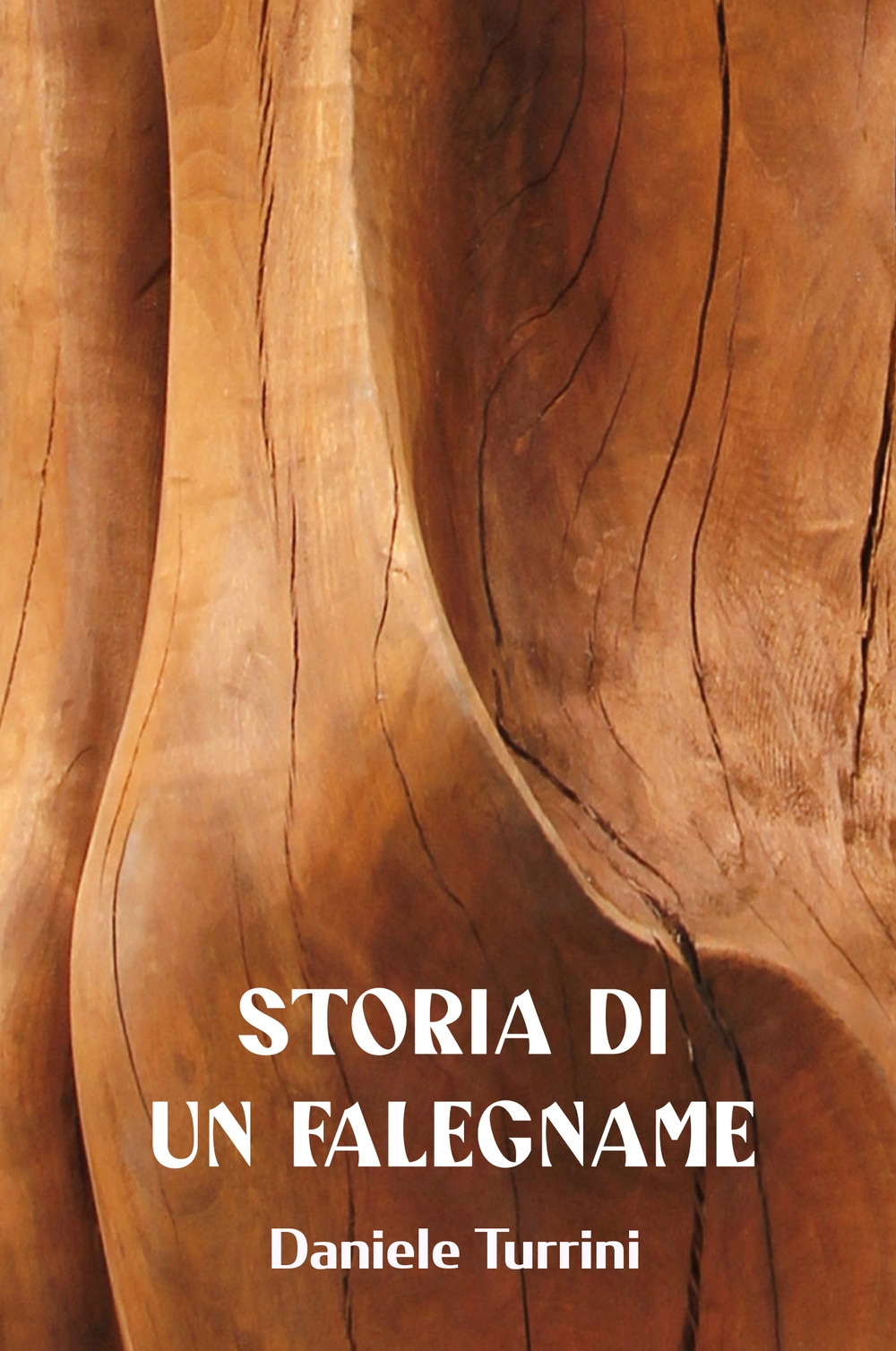 Storia di un falegname