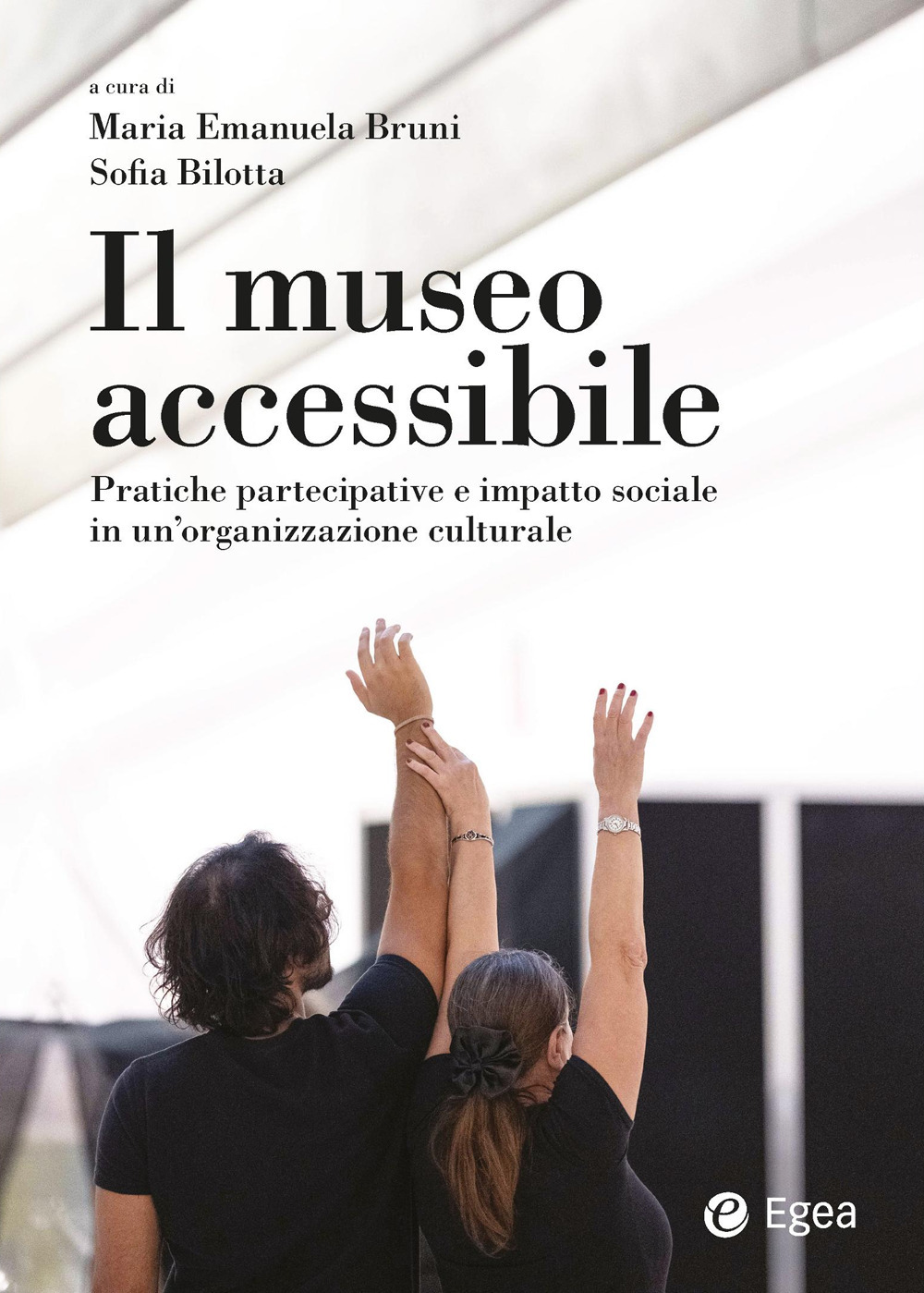 Il museo accessibile. Pratiche partecipative e impatto sociale in un'organizzazione culturale