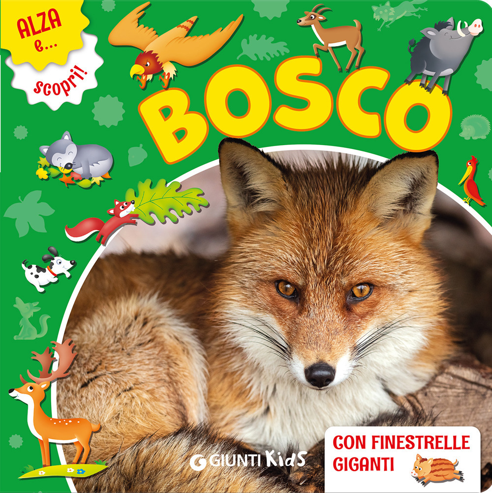 Il bosco