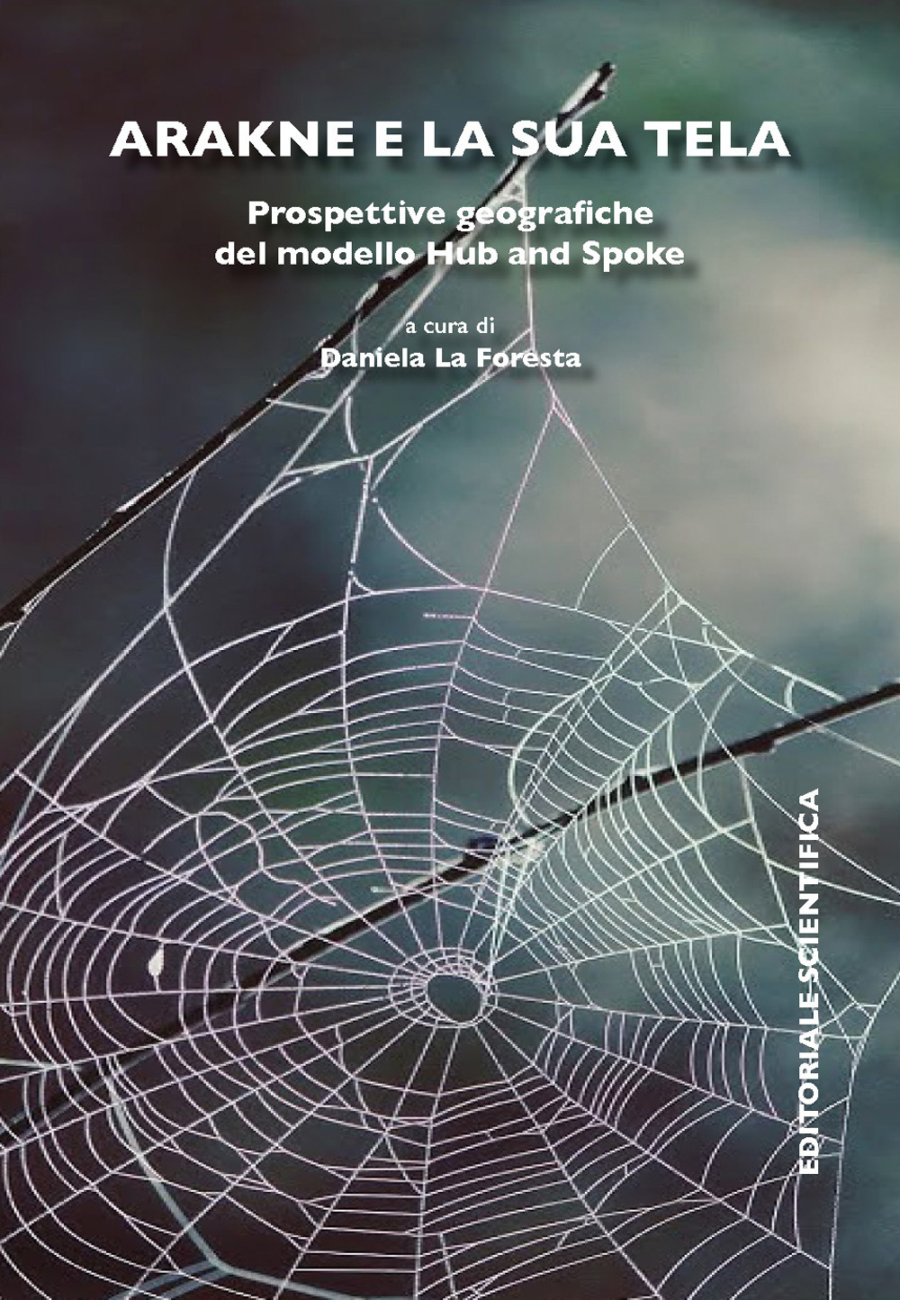 Arakne e la sua tela. Prospettive geografiche del modello Hub and Spoke