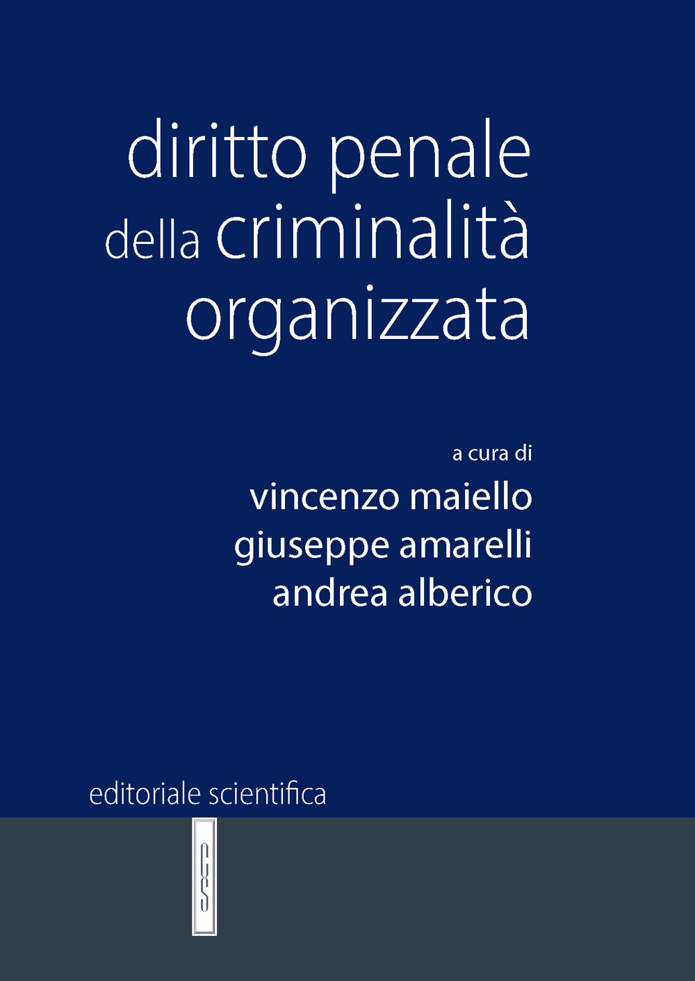 Diritto penale della criminalità organizzata