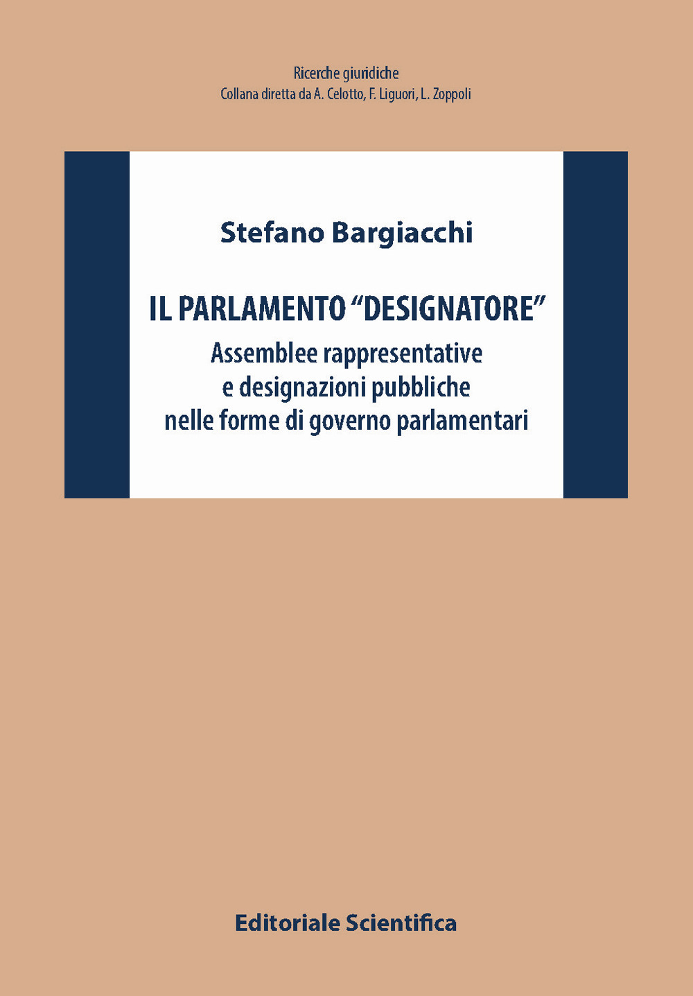 Il Parlamento «designatore». Assemblee rappresentative e designazioni pubbliche nelle forme di governo parlamentari