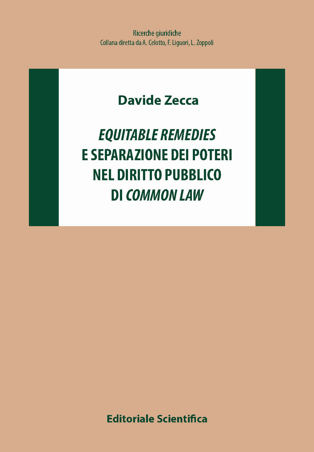 «Equitable remiedies» e separazione dei poteri nel diritto pubblico di «common law»