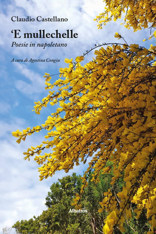 ‘E mullechelle. Poesie in napoletano