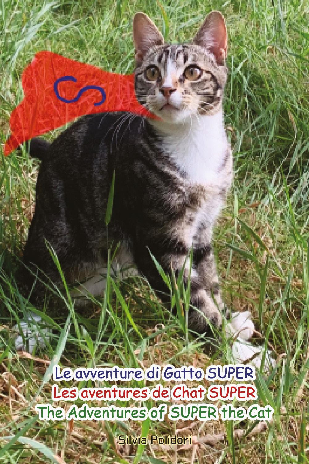 Le avventure di Gatto Super-Les aventures de Chat Super-The Adventures of Super the Cat
