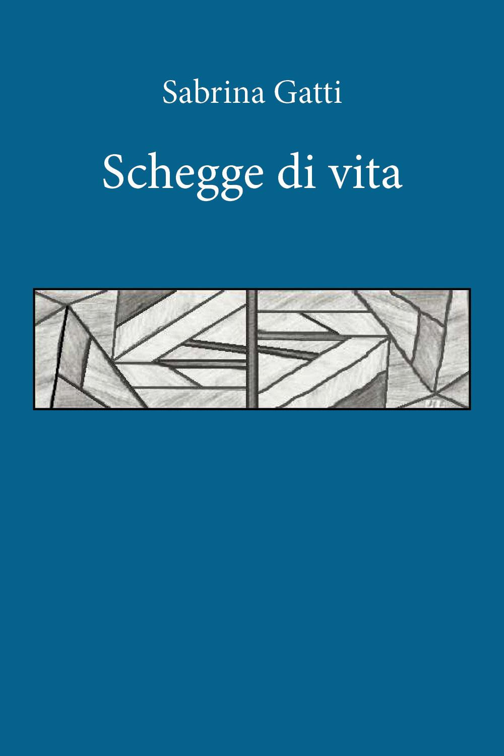 Schegge di vita