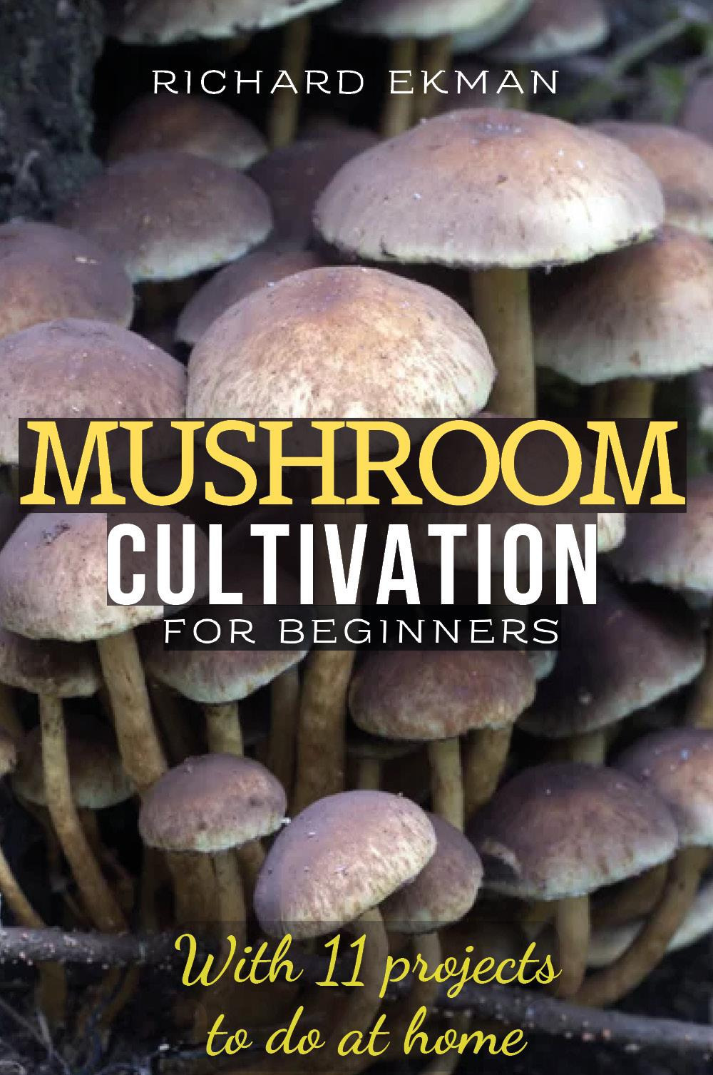 Mushroom Cultivation For Beginners