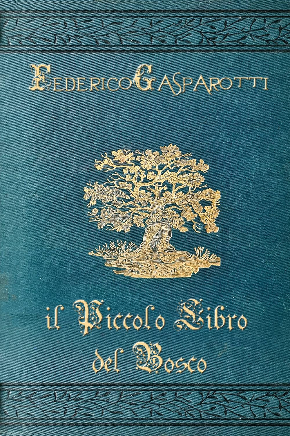 Il piccolo libro del bosco