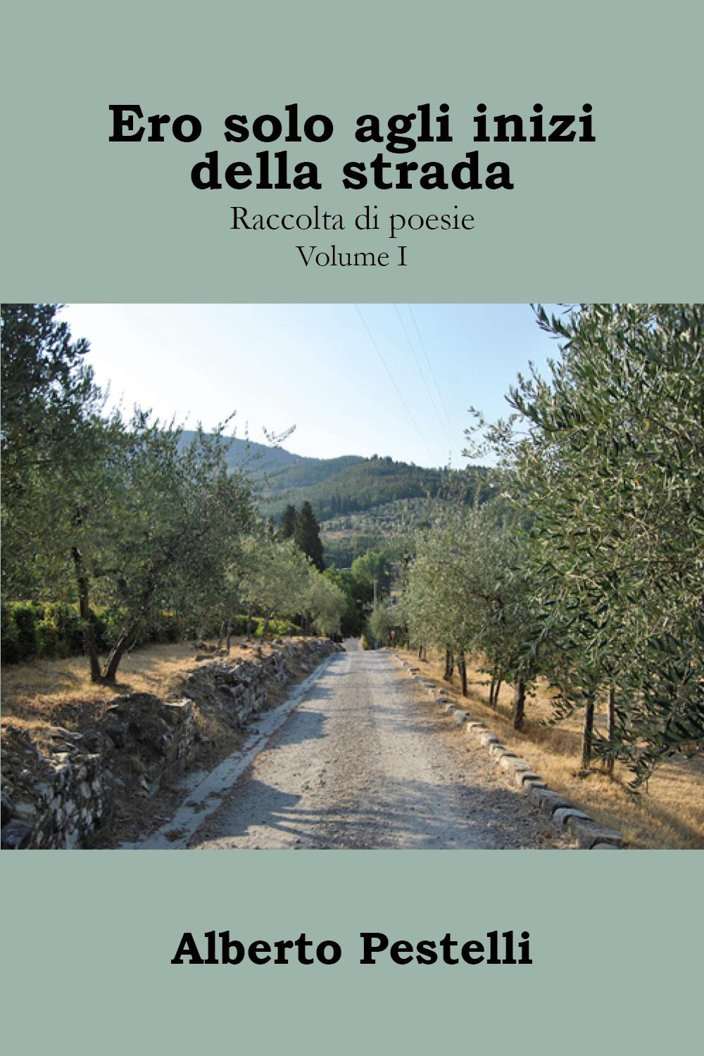Ero solo agli inizi della strada... Raccolta di poesie. Vol. 1