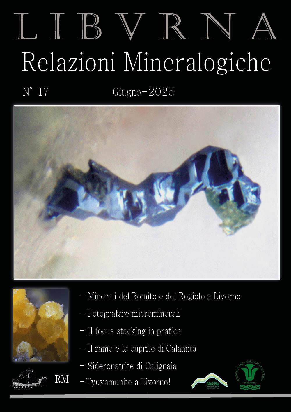 Relazioni mineralogiche. Libvrna. Vol. 17