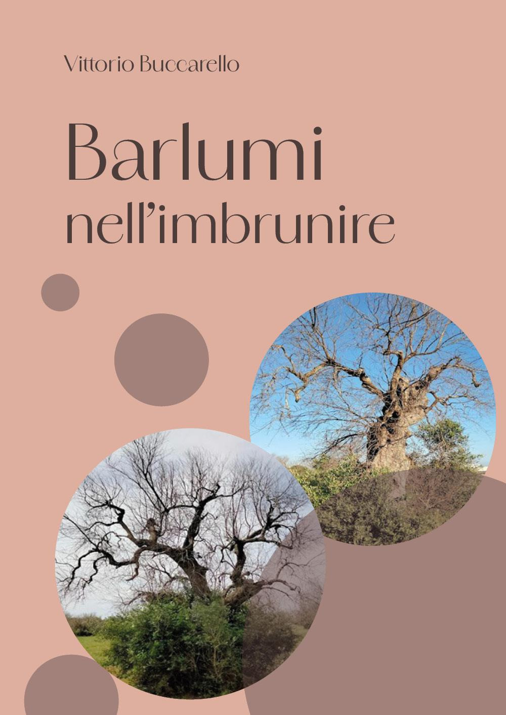 Barlumi nell'imbrunire