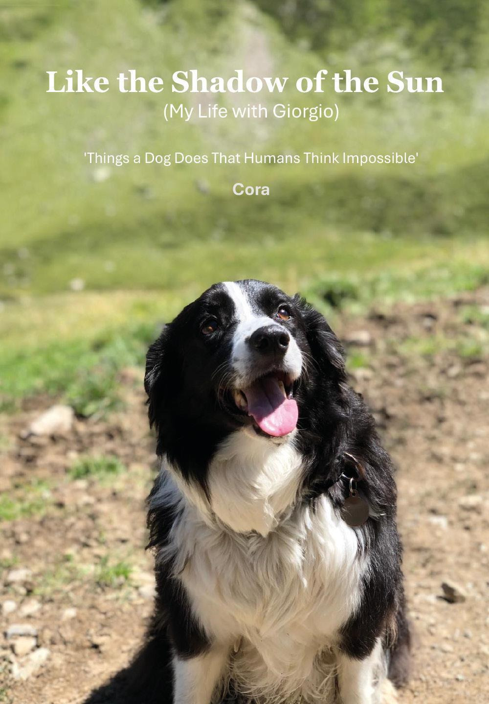 Like the shadow of the sun (My life with Giorgio)