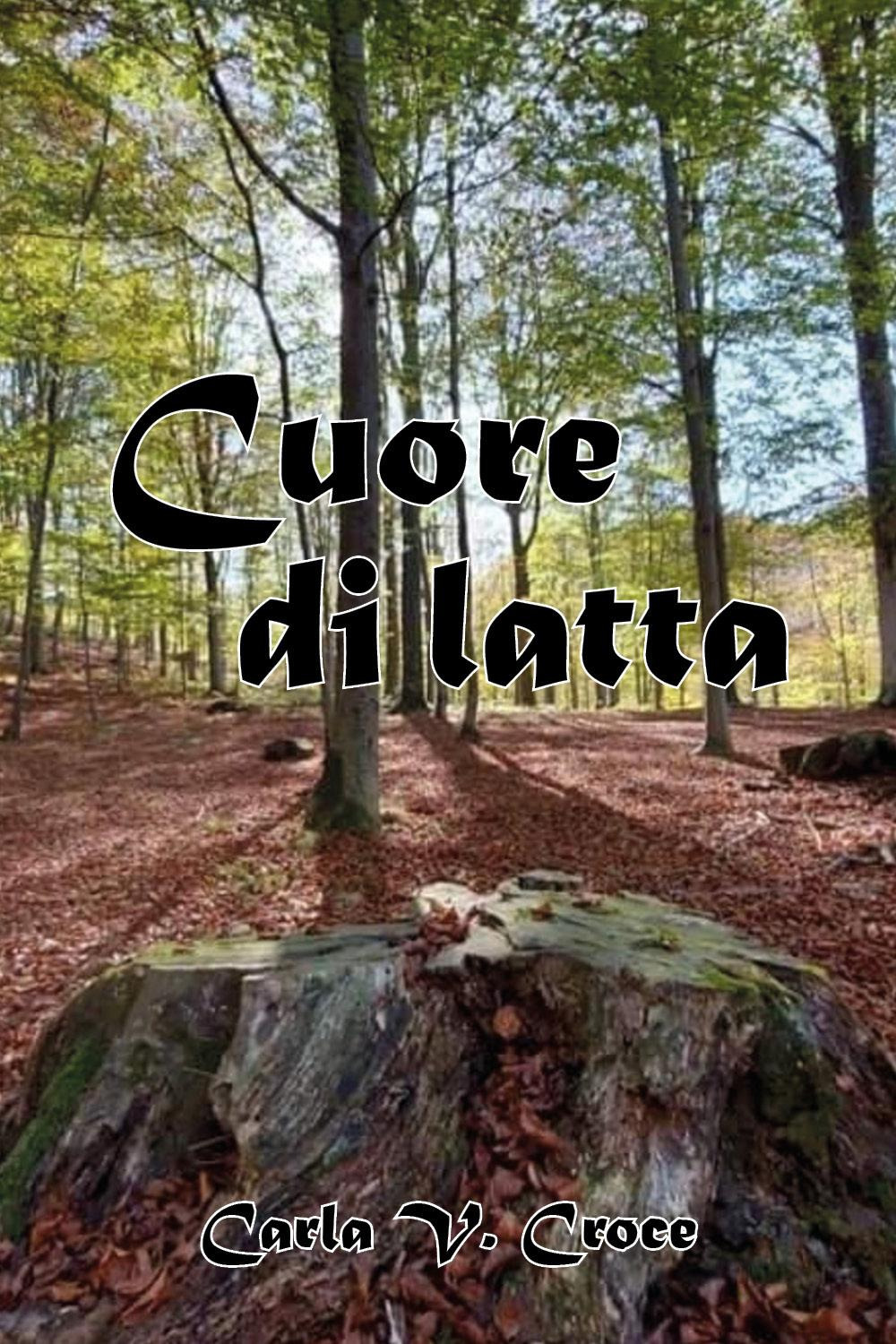 Cuore di latta