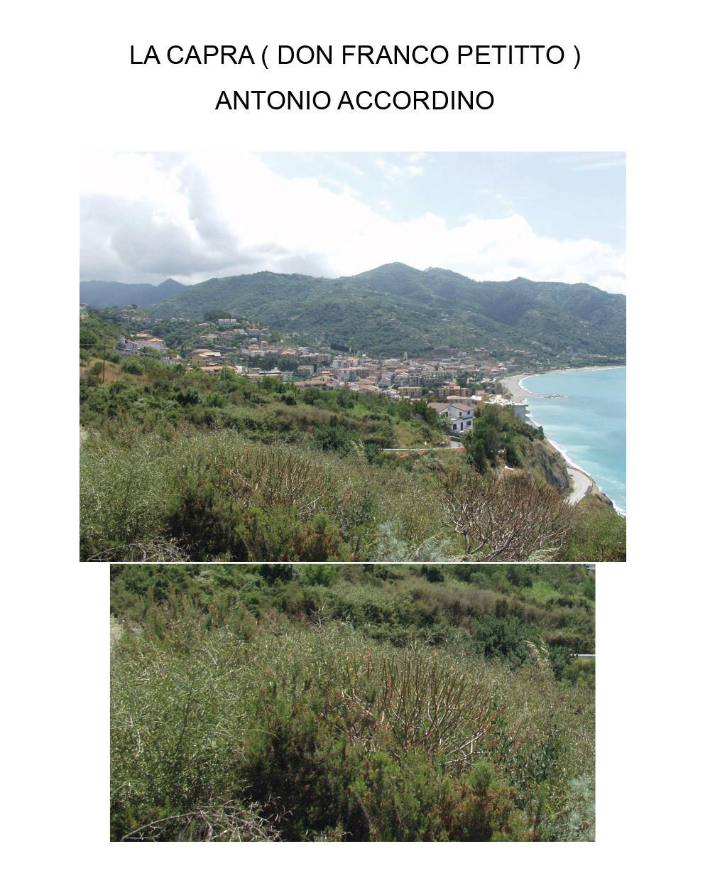 La capra (Don Franco Petitto)