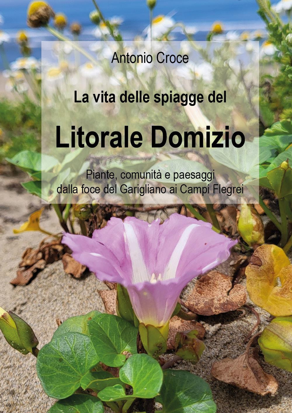 La vita delle spiagge del Litorale Domizio. Piante, comunità e paesaggi dalla foce del Garigliano ai Campi Flegrei