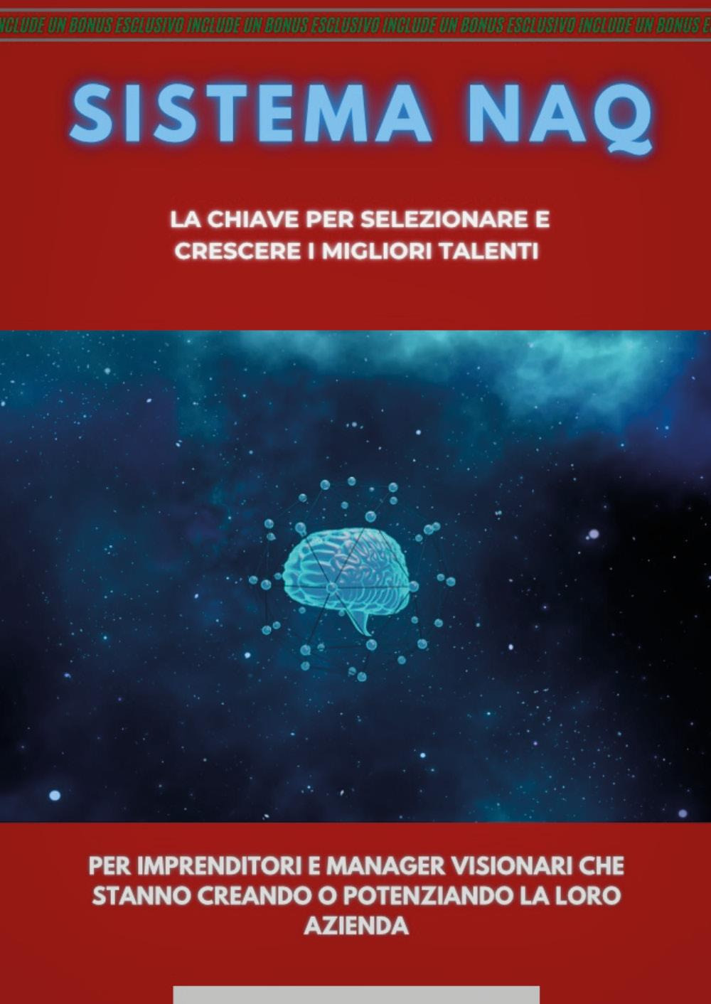 Sistema NAQ. La chiave per selezionare e crescere i migliori talenti