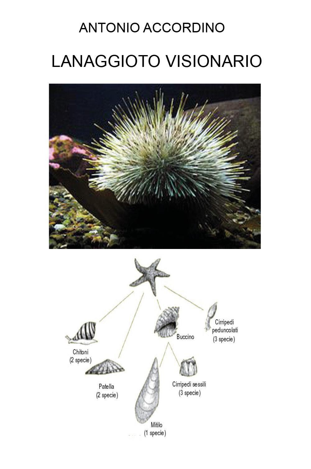 Lanaggioto visionario