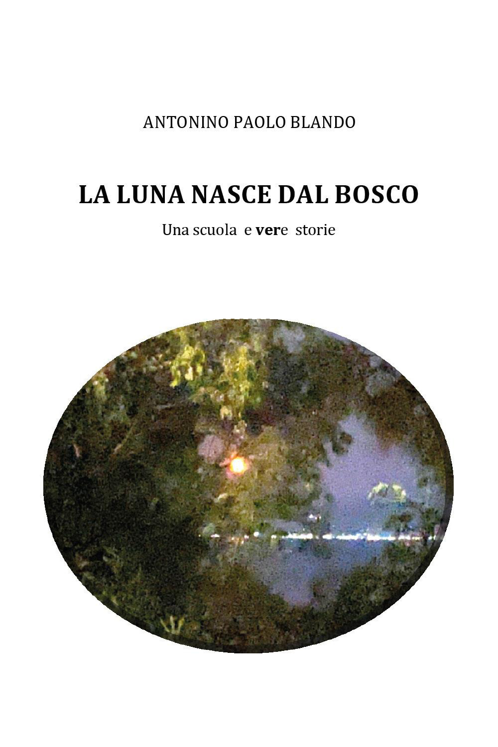 La luna nasce dal bosco