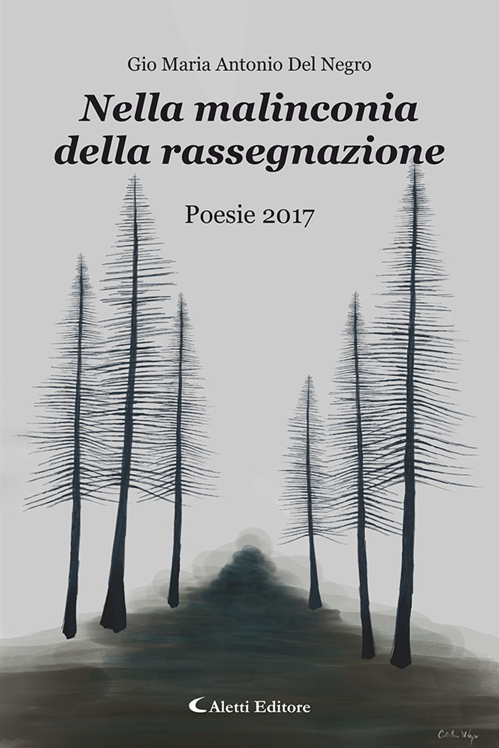 Nella malinconia della rassegnazione. Poesie 2017