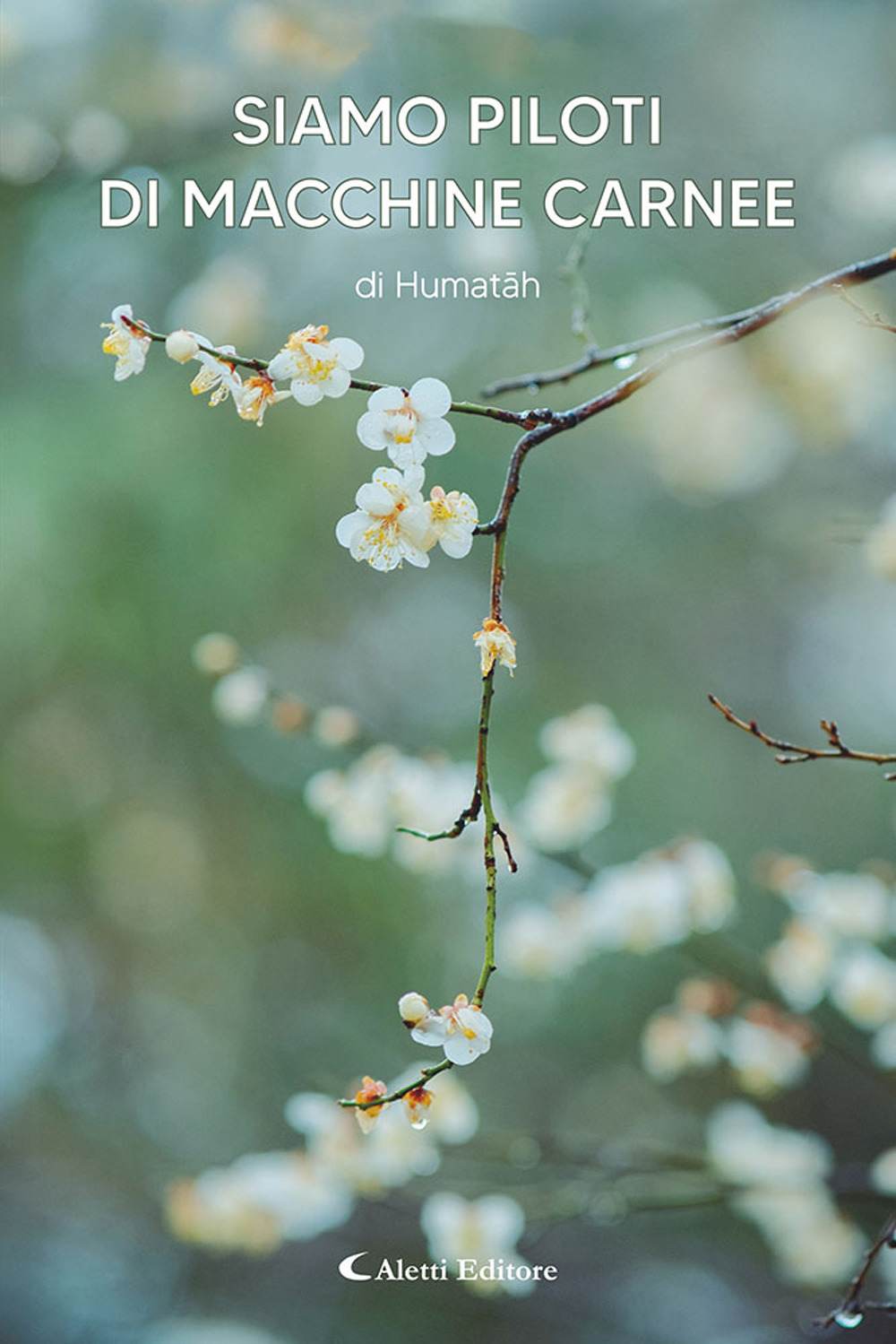 Siamo piloti di macchine carnee