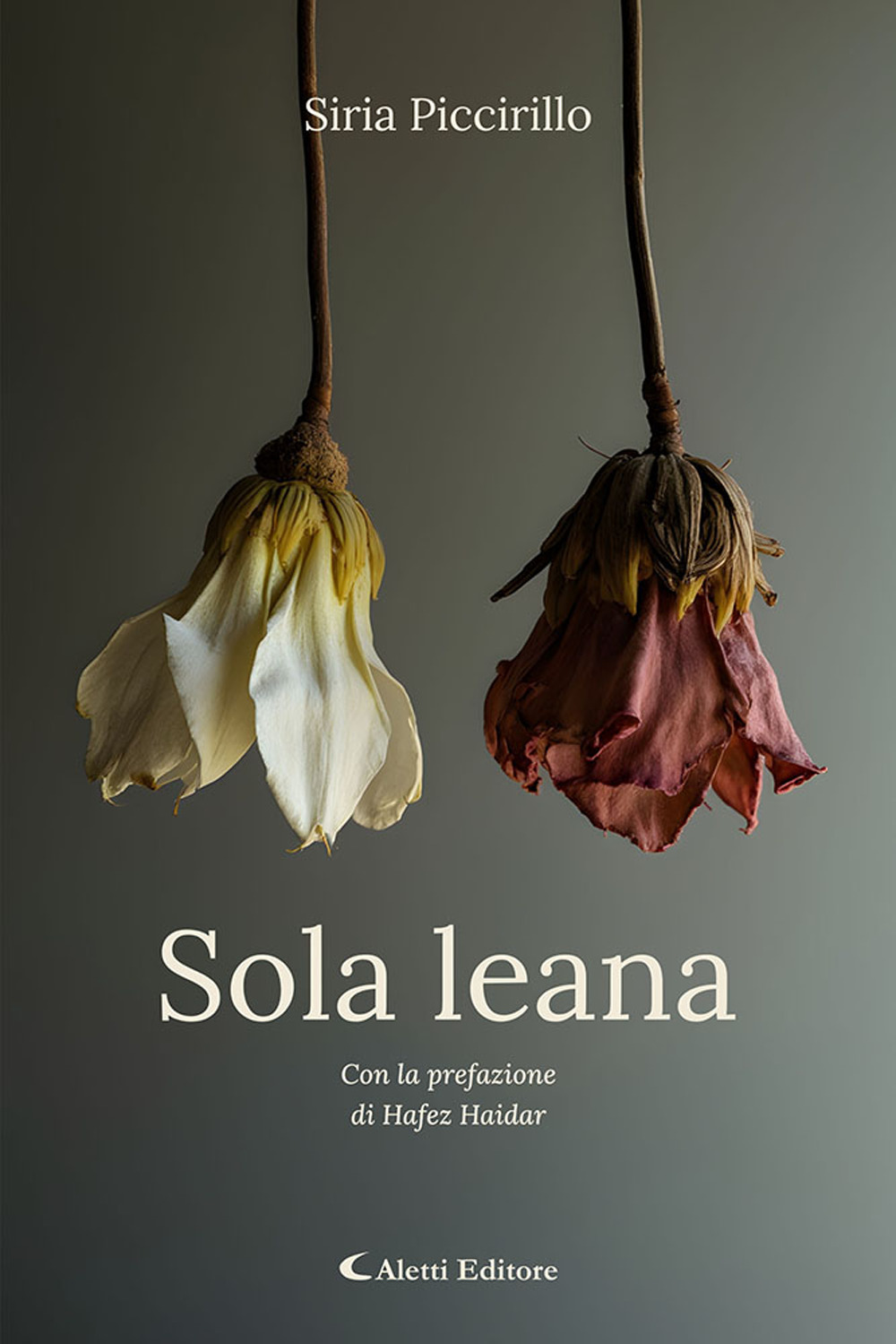 Sola leana