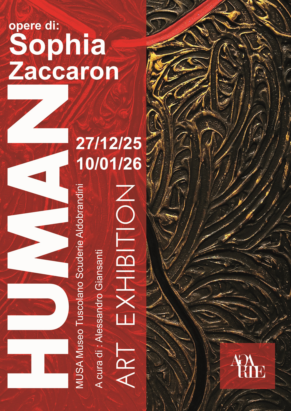 Human. Opere di Sophia Zaccaron
