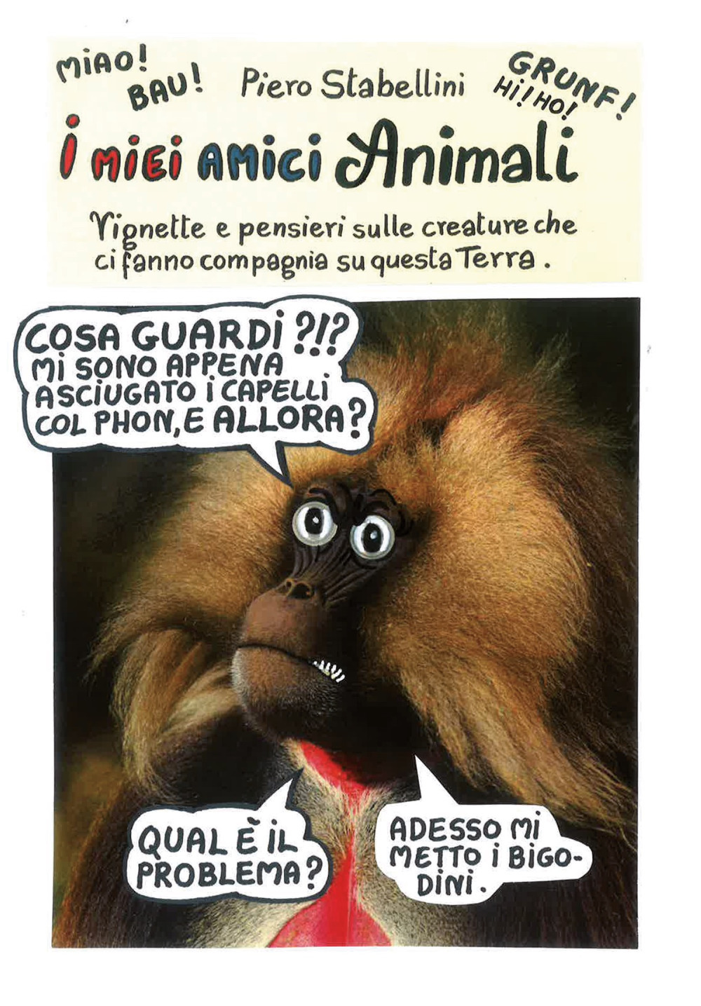 I miei amici animali