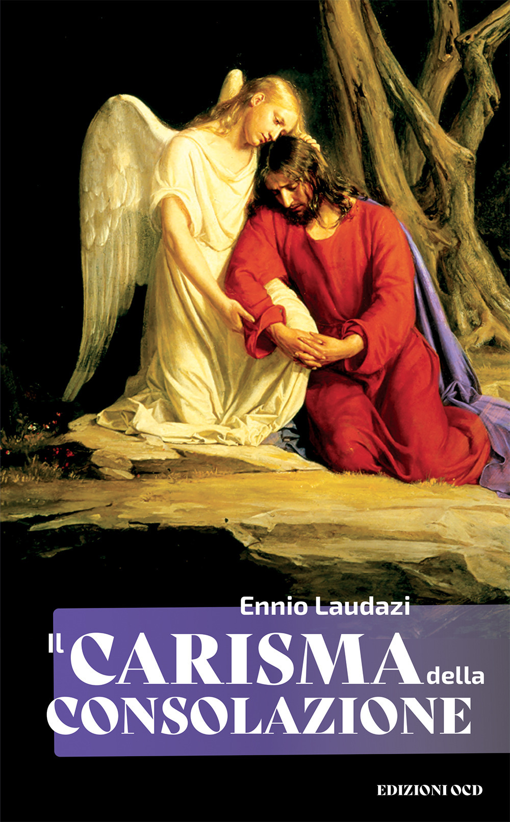 Il carisma della consolazione