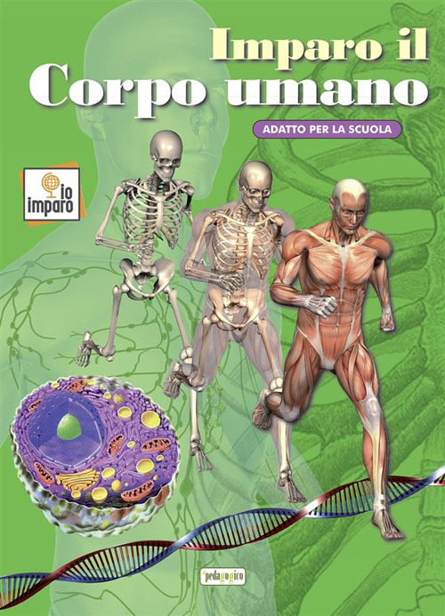 Imparo il corpo umano