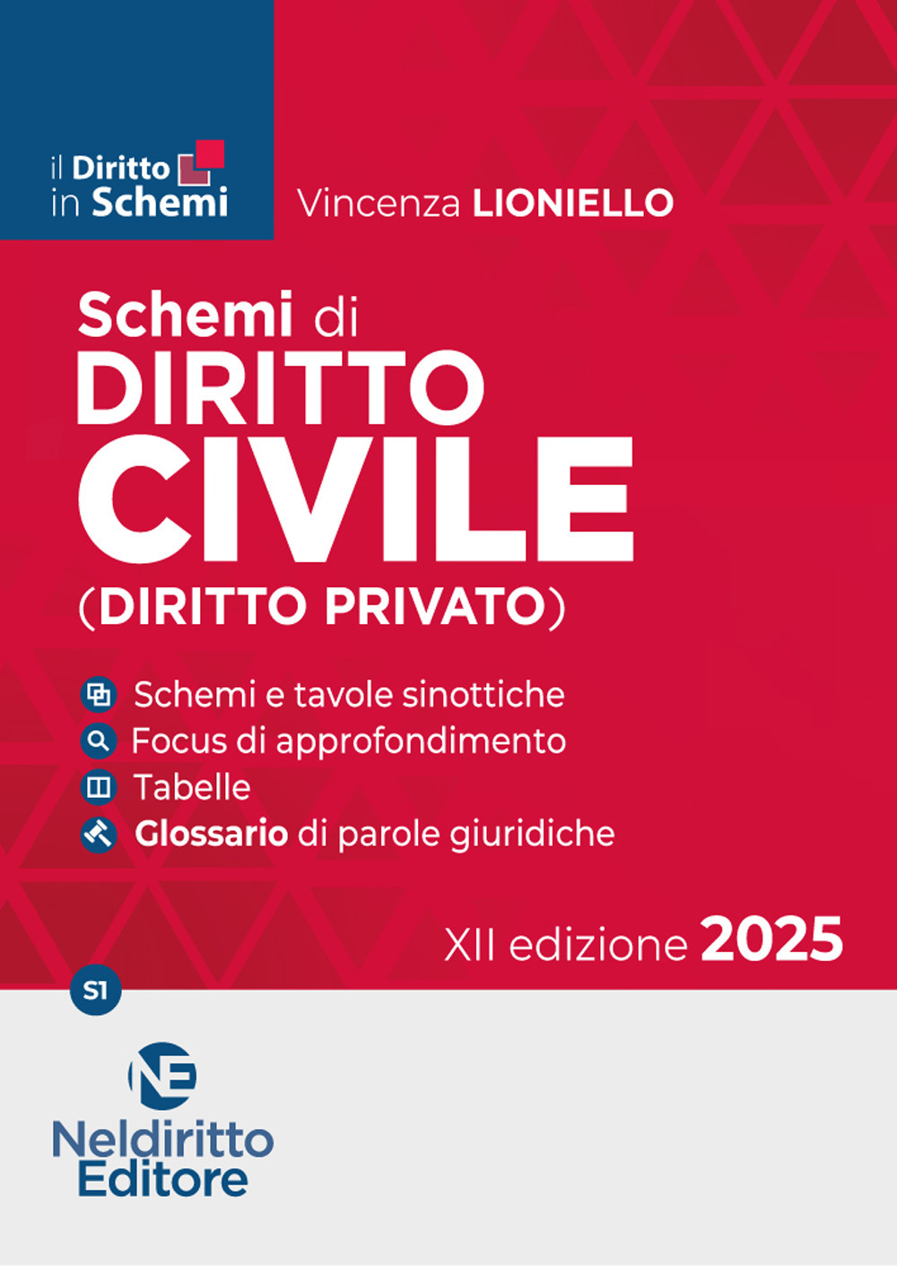 Schemi di diritto civile (diritto privato) 2025