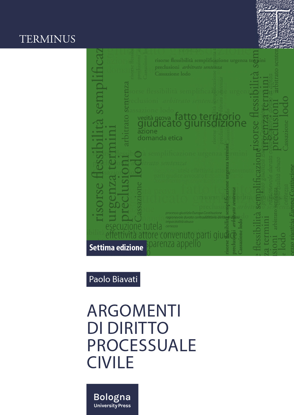 Argomenti di diritto processuale civile