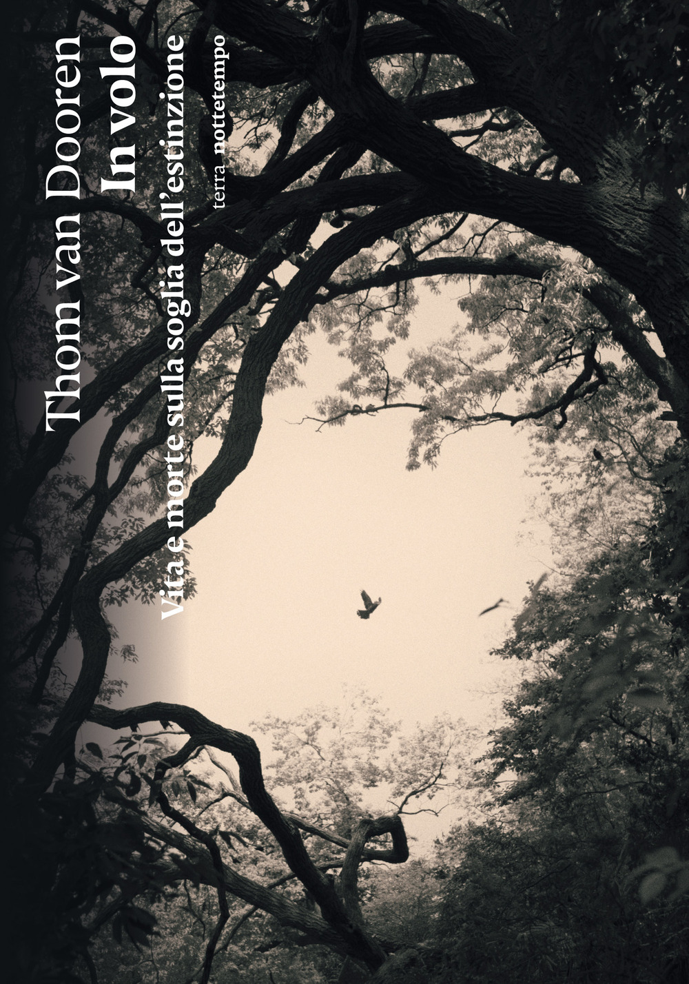 In volo. Vita e morte sulla soglia dell’estinzione