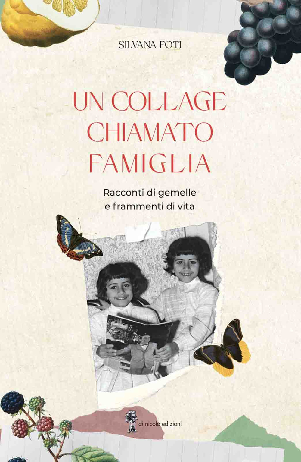 Un collage chiamato famiglia. Racconti di gemelle e frammenti di vita