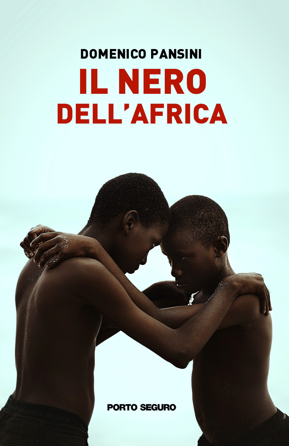 Il nero dell'Africa