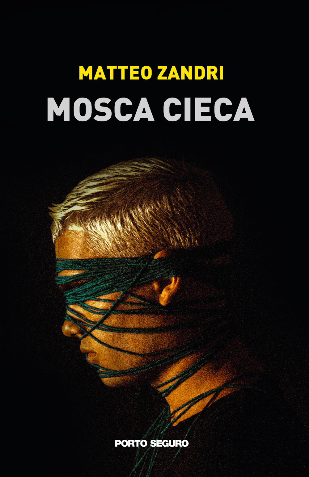 Mosca cieca