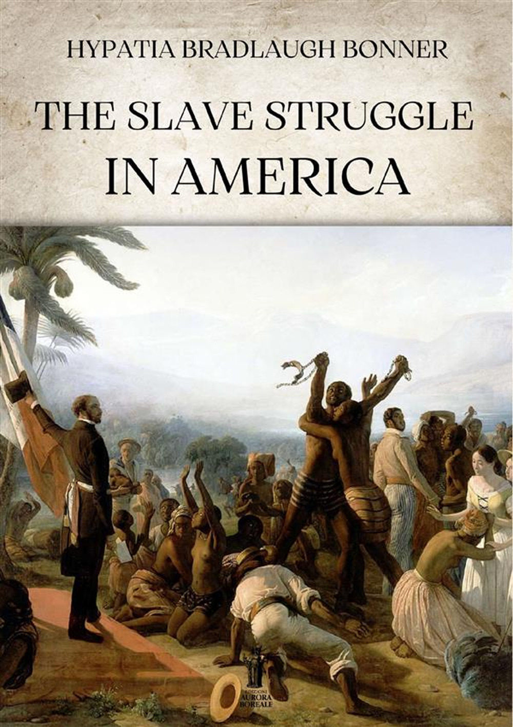 The slave struggle in America