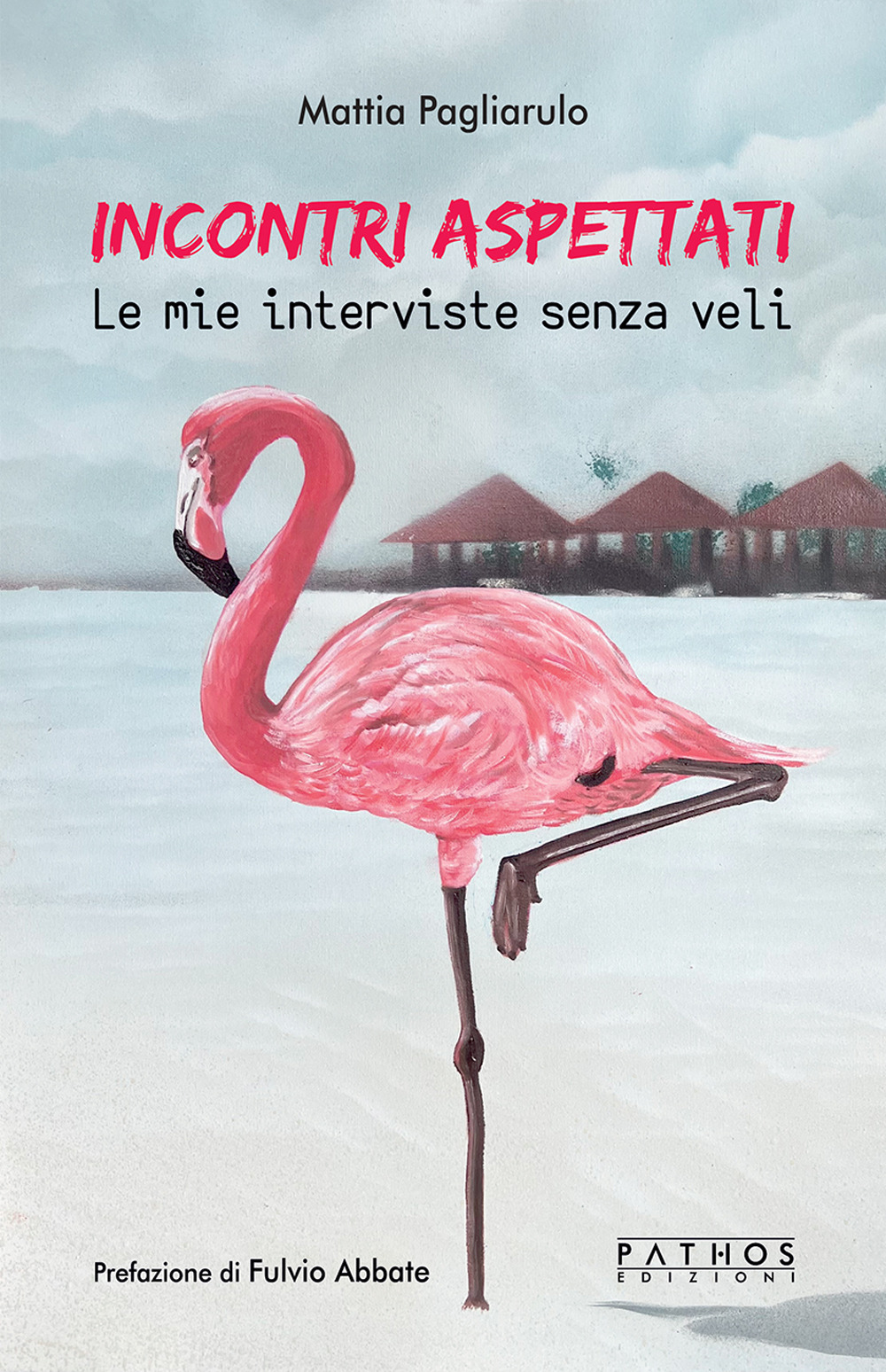 Incontri aspettati. Le mie interviste senza veli